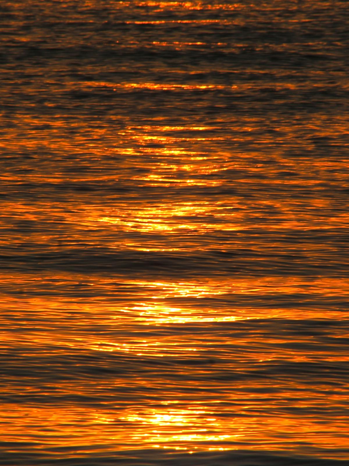 Calm water at golden hour, soft rippling reflections - the grounded, present quality of regulation